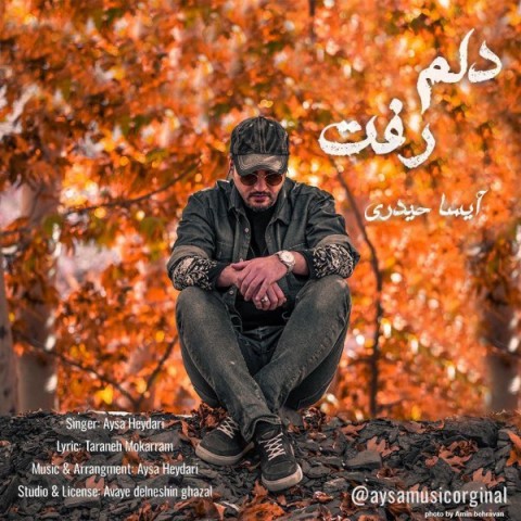 دانلود آهنگ دلم رفت از {singer-fa}