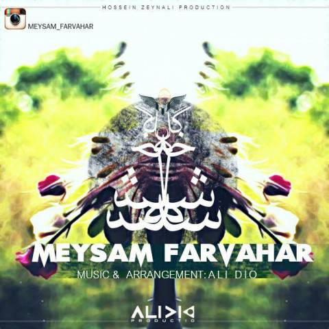 دانلود آهنگ سه شاخه گل از میثم فروهر | ملودیکده دانلود آهنگ سه شاخه گل از {singer-fa}