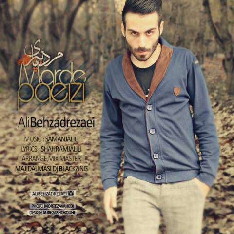 دانلود آهنگ مرد پاییزی از {singer-fa}
