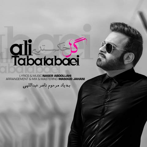 دانلود آهنگ گل خاکستری از {singer-fa}