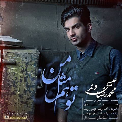 دانلود آهنگ تو هم مثل من از {singer-fa}