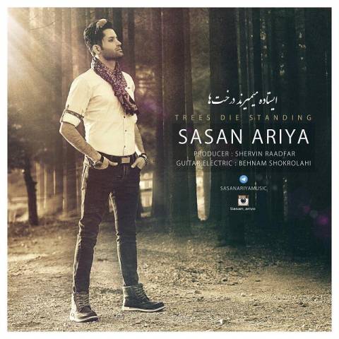 دانلود آهنگ ایستاده میمیرند درخت ها از {singer-fa}