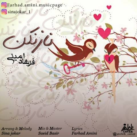 دانلود آهنگ ناز نکن از فرهاد امینی | ملودیکده دانلود آهنگ ناز نکن از {singer-fa}