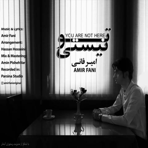 دانلود آهنگ تو نیستی از {singer-fa}