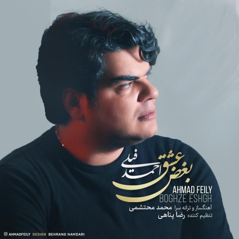 دانلود آهنگ بغض عشق از {singer-fa}