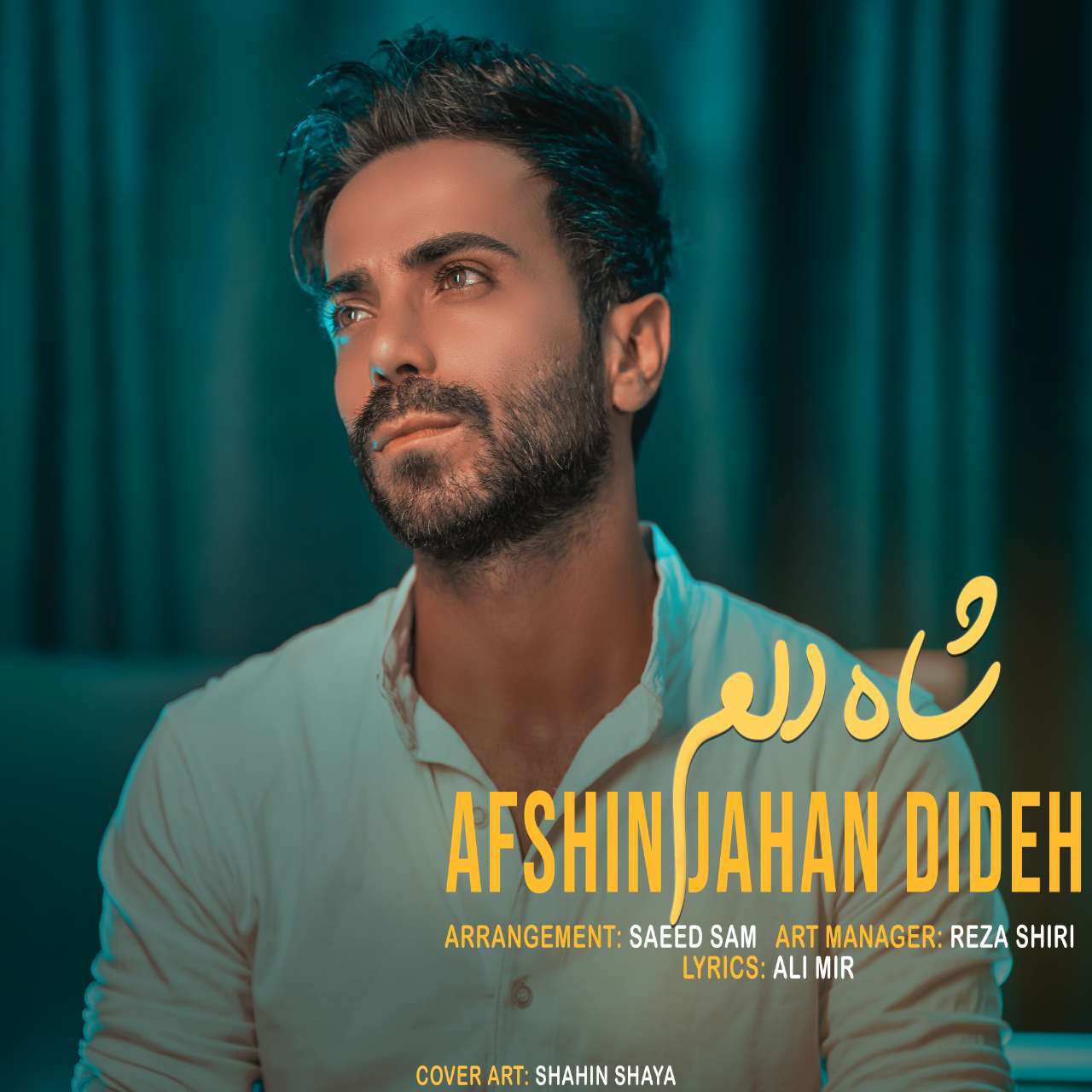 دانلود آهنگ شاه دلم از افشین جهان دیده | ملودیکده دانلود آهنگ شاه دلم از {singer-fa}