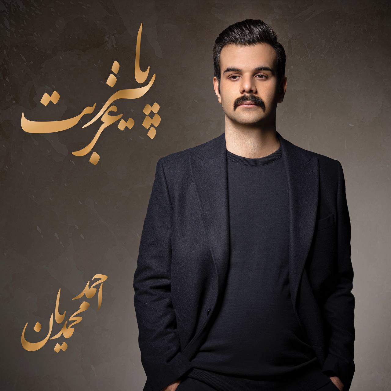 دانلود آهنگ پاییز غربت از احمد محمدیان | ملودیکده دانلود آهنگ پاییز غربت از {singer-fa}