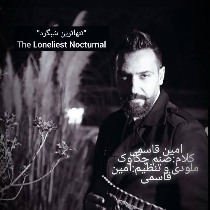 دانلود آهنگ تنها ترین شبگرد از {singer-fa}