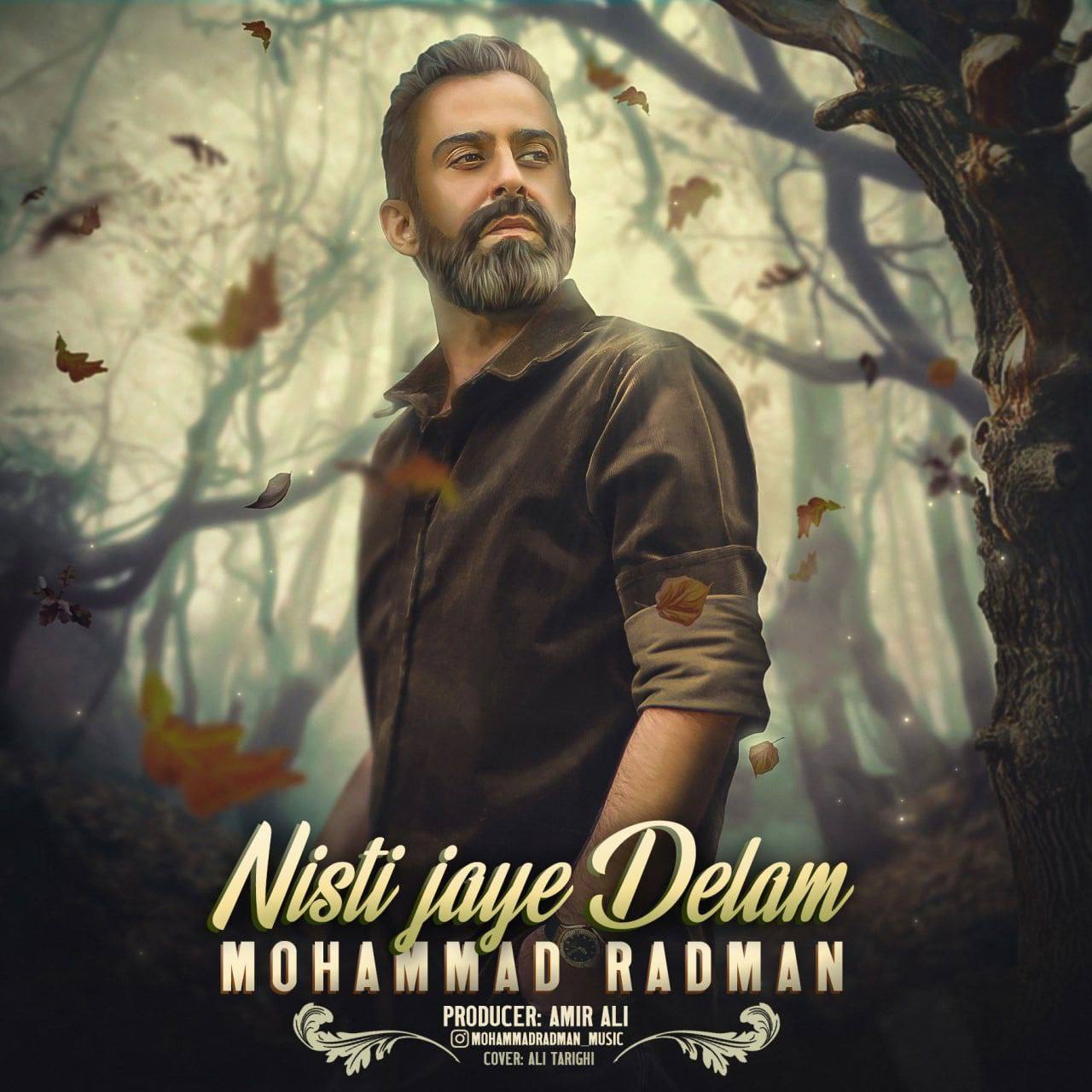 دانلود آهنگ نیستی جای دلم از محمد رادمان | ملودیکده دانلود آهنگ نیستی جای دلم از {singer-fa}
