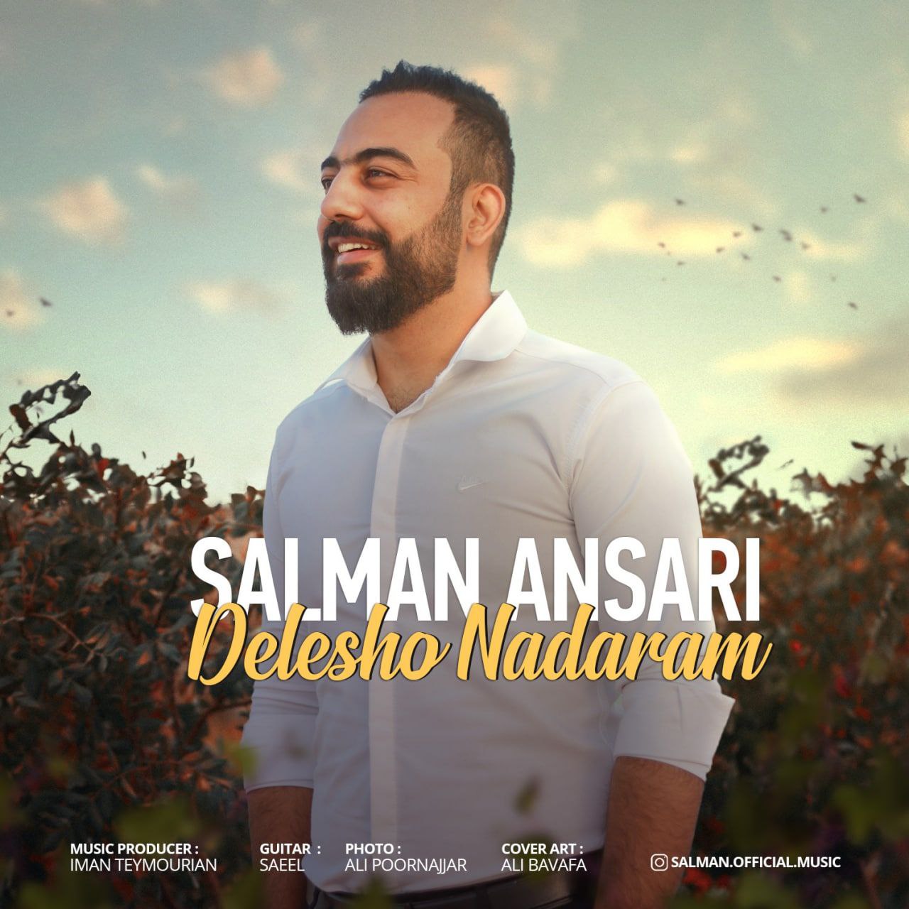 دانلود آهنگ دلشو ندارم از {singer-fa}
