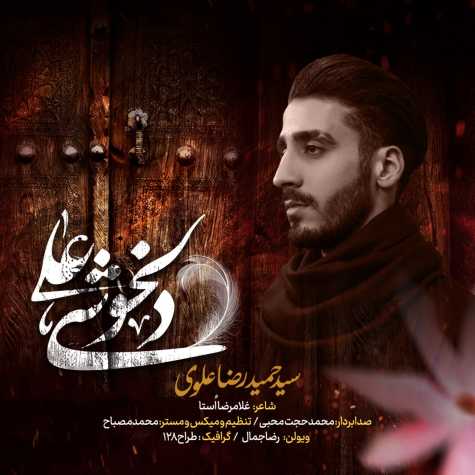 دانلود آهنگ دلخوشی علی از سید حمیدرضا علوی | ملودیکده دانلود آهنگ دلخوشی علی از {singer-fa}