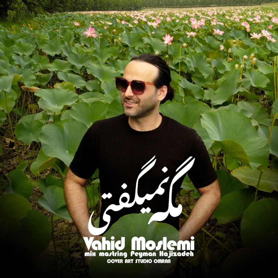 دانلود آهنگ وحید مسلمی از مگه نمیگفتی | ملودیکده دانلود آهنگ وحید مسلمی از {singer-fa}