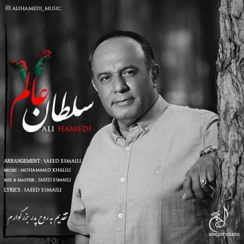 دانلود آهنگ سلطان عالم از {singer-fa}