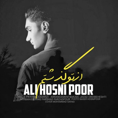 دانلود آهنگ از تو گذشتم از علی حسنی پور | ملودیکده دانلود آهنگ از تو گذشتم از {singer-fa}