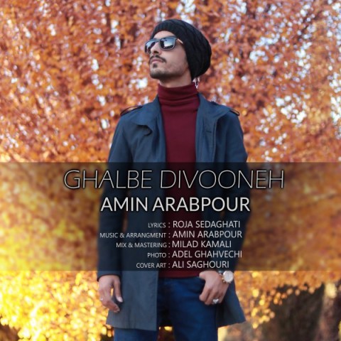 دانلود آهنگ قلب دیوونه از {singer-fa}