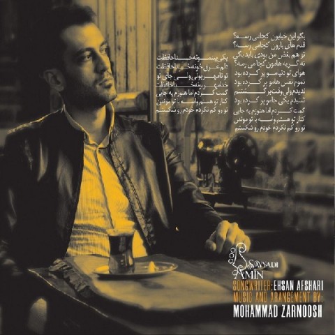 دانلود آهنگ گمت کردم از امین صیادی | ملودیکده دانلود آهنگ گمت کردم از {singer-fa}