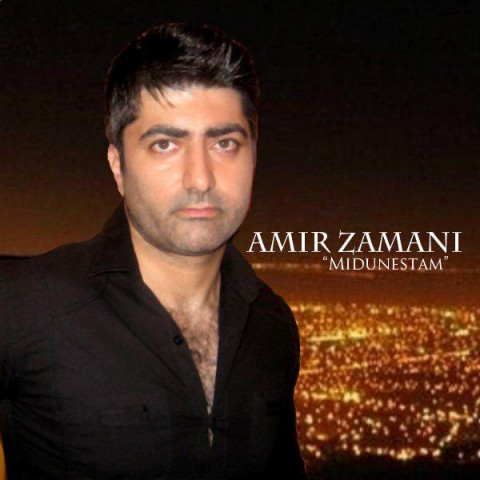 دانلود آهنگ میدونستم از {singer-fa}