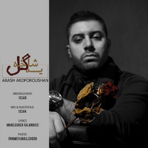 دانلود آهنگ یه شاخ گل از {singer-fa}