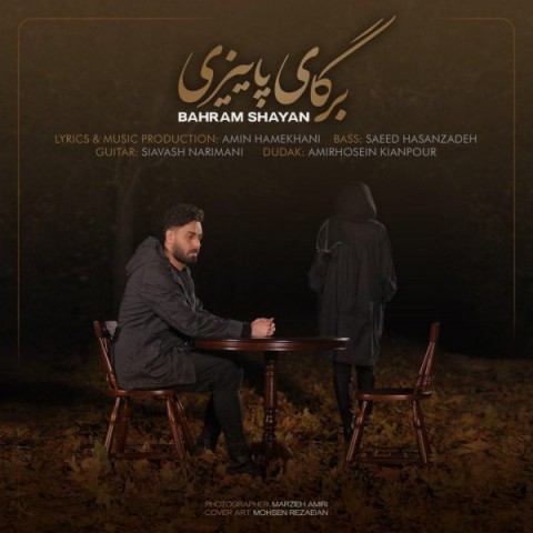 دانلود آهنگ برگای پاییزی از {singer-fa}