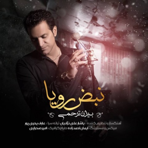 دانلود آهنگ نبض رویا از بیژن ترحمی | ملودیکده دانلود آهنگ نبض رویا از {singer-fa}