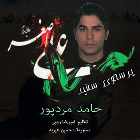 دانلود آهنگ پرستوی سفید از حامد مردپور | ملودیکده دانلود آهنگ پرستوی سفید از {singer-fa}