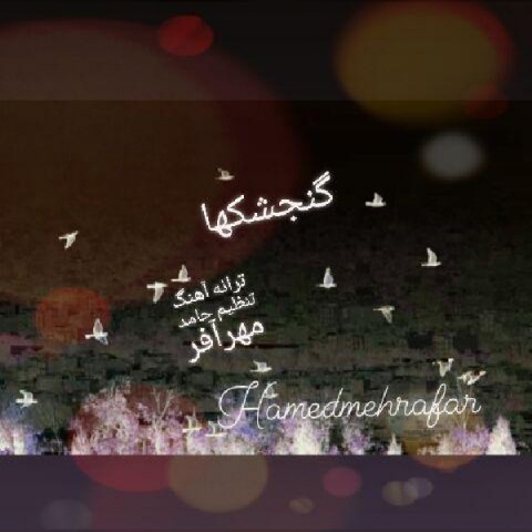 دانلود آهنگ گنجشکها از {singer-fa}