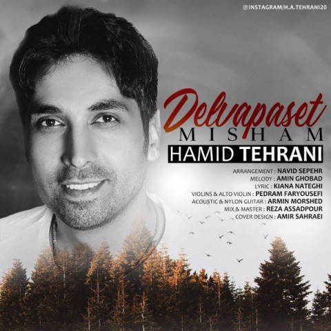 دانلود آهنگ دلوا پست میشم از {singer-fa}