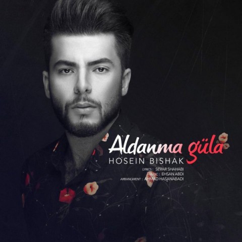 دانلود آهنگ آلدانما گوله از {singer-fa}