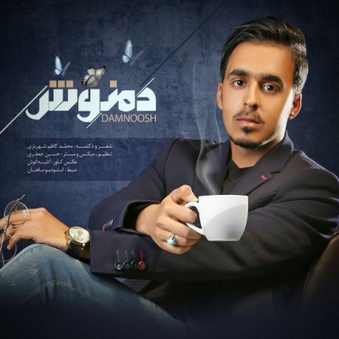 دانلود آهنگ دمنوش از محمد کاظم شهریاری | ملودیکده دانلود آهنگ دمنوش از {singer-fa}