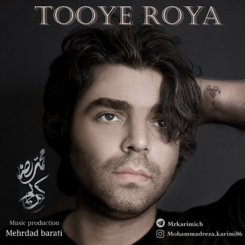دانلود آهنگ توی رویا از محمدرضا کریمی | ملودیکده دانلود آهنگ توی رویا از {singer-fa}