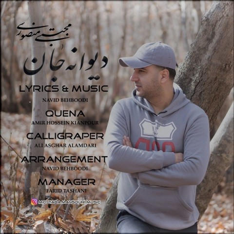 دانلود آهنگ دیوانه جان از مجتبی منصوری | ملودیکده دانلود آهنگ دیوانه جان از {singer-fa}