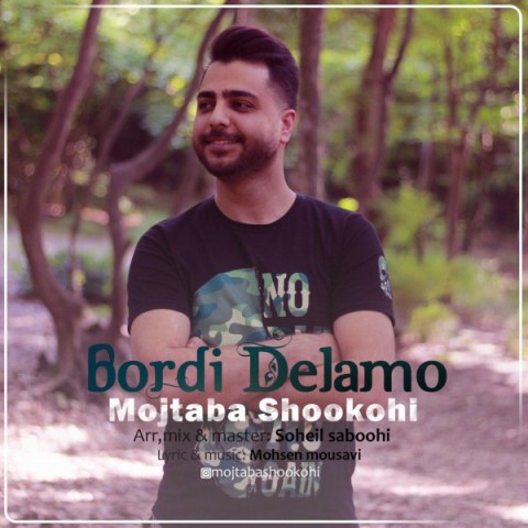 دانلود آهنگ بردی دلمو از مجتبی شکوهی | ملودیکده دانلود آهنگ بردی دلمو از {singer-fa}