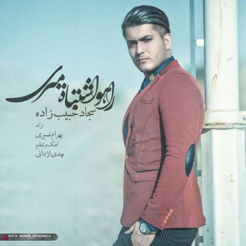 دانلود آهنگ راهو اشتباه میری از سجاد حبیب زاده | ملودیکده دانلود آهنگ راهو اشتباه میری از {singer-fa}