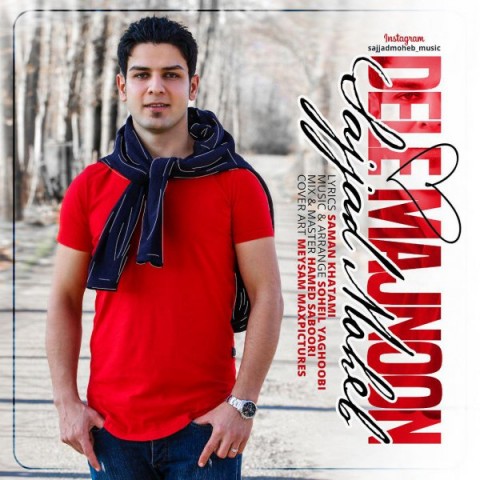 دانلود آهنگ دل مجنون از {singer-fa}