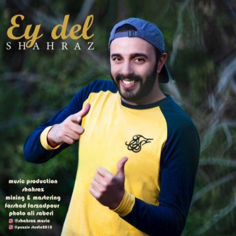 دانلود آهنگ ای دل از شهراز | ملودیکده دانلود آهنگ ای دل از {singer-fa}