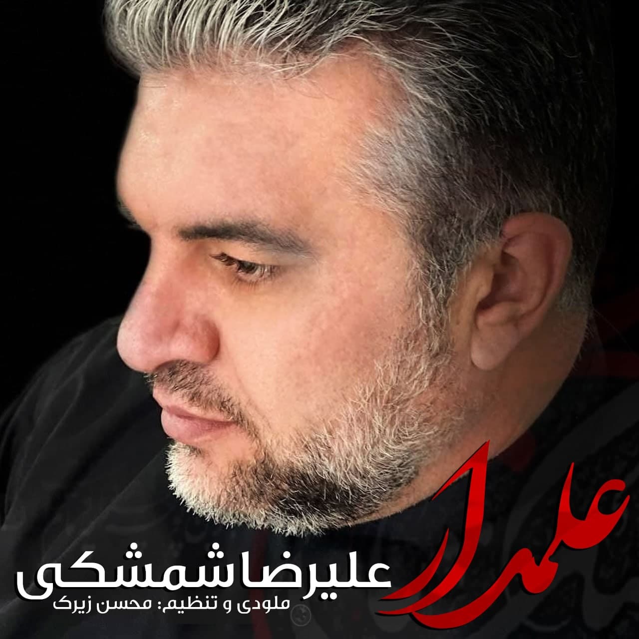 دانلود آهنگ علمدار از {singer-fa}