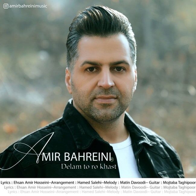 دانلود آهنگ دلم تورو خواست از {singer-fa}