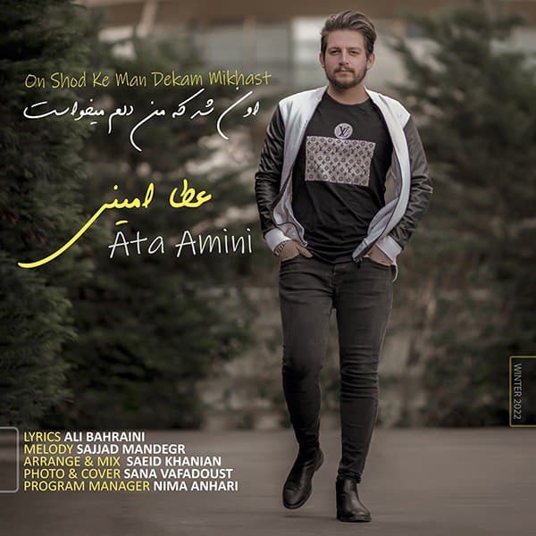 دانلود آهنگ اون شد که من دلم میخواست از {singer-fa}