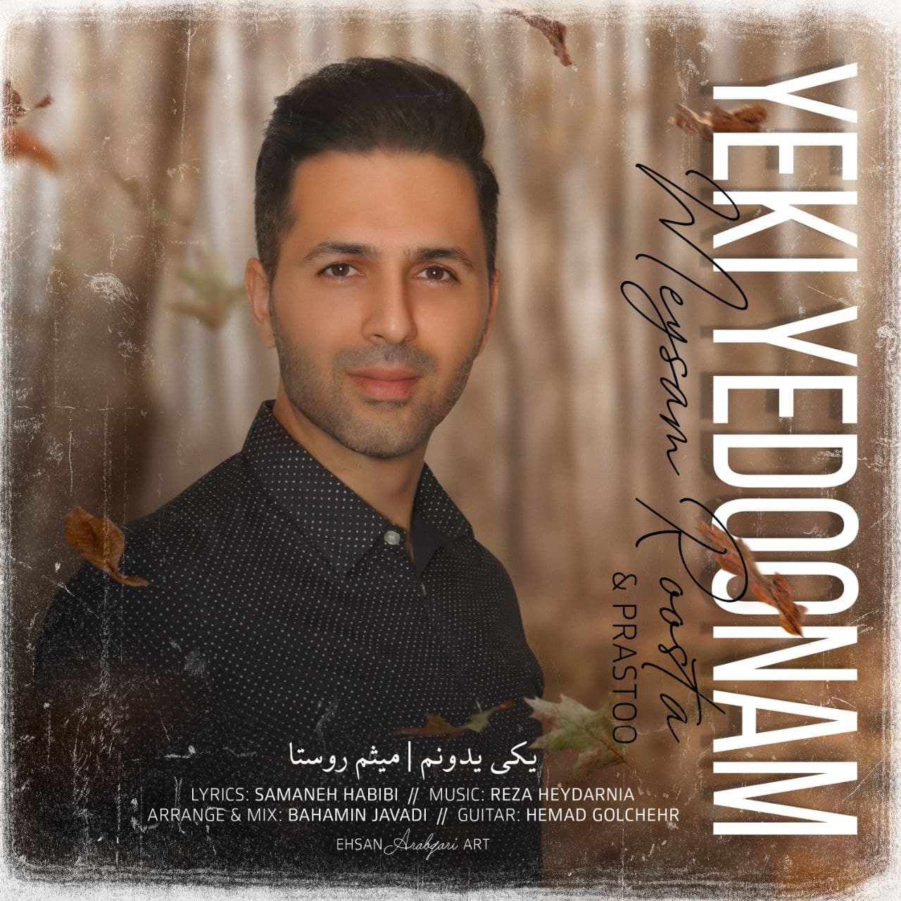 دانلود آهنگ یکی یدونم از میثم روستا | ملودیکده دانلود آهنگ یکی یدونم از {singer-fa}