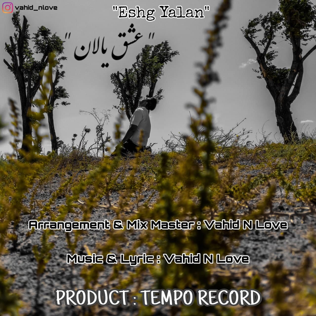دانلود آهنگ وحید ان لاو از عشق یالان | ملودیکده دانلود آهنگ وحید ان لاو از {singer-fa}