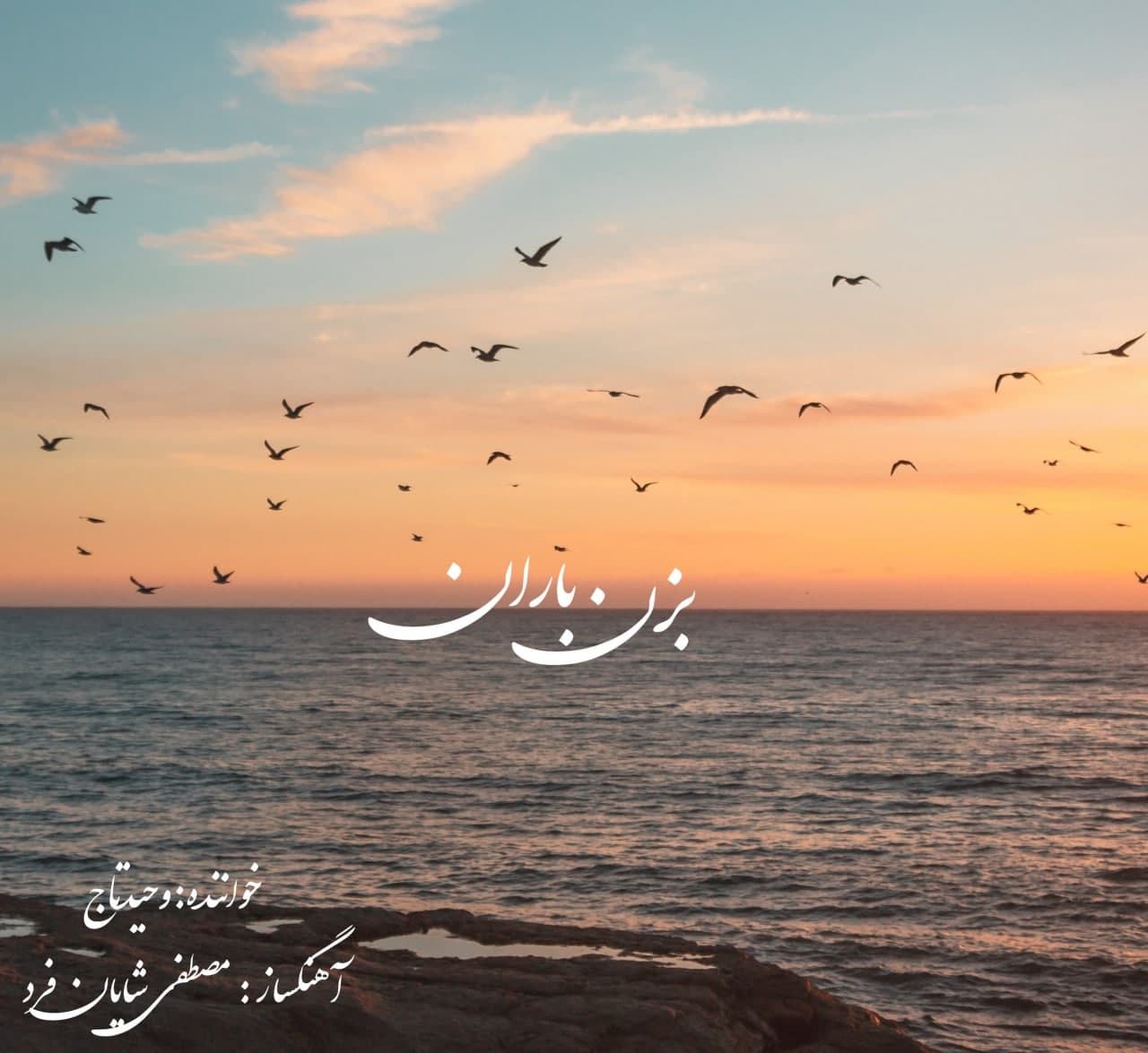دانلود آهنگ وحید تاج از {singer-fa}