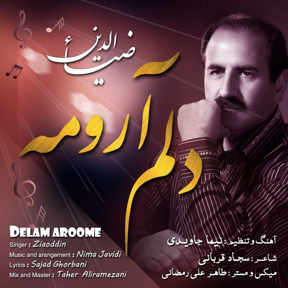 دانلود آهنگ دلم آرومه از ضیاءالدین | ملودیکده دانلود آهنگ دلم آرومه از {singer-fa}