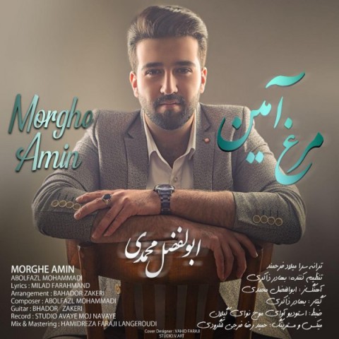 دانلود آهنگ مرغ آمین از ابوالفضل محمدی | ملودیکده دانلود آهنگ مرغ آمین از {singer-fa}