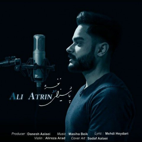 دانلود آهنگ پاییزای دو نفره از علی آترین | ملودیکده دانلود آهنگ پاییزای دو نفره از {singer-fa}