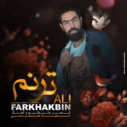 دانلود آهنگ ترنم از علی فر خاک بین | ملودیکده دانلود آهنگ ترنم از {singer-fa}