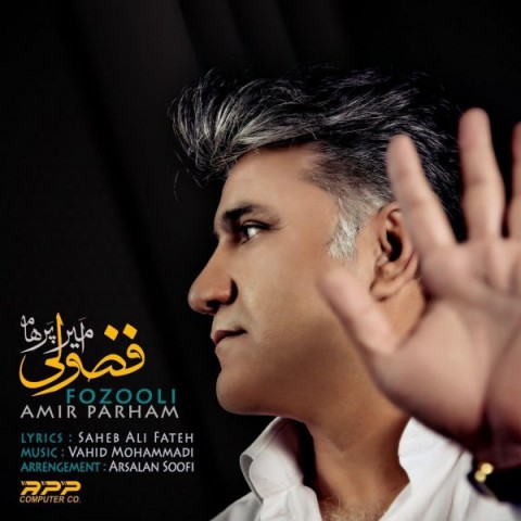دانلود آهنگ فضولی از امیر پرهام | ملودیکده دانلود آهنگ فضولی از {singer-fa}