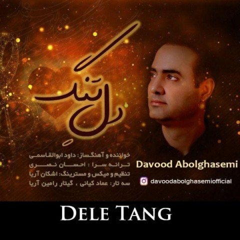 دانلود آهنگ دل تنگ از داوود ابوالقاسمی | ملودیکده دانلود آهنگ دل تنگ از {singer-fa}