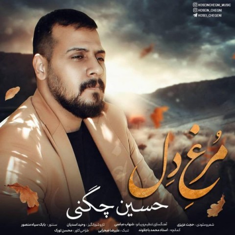 دانلود آهنگ مرغ دل از حسین چگنی | ملودیکده دانلود آهنگ مرغ دل از حسین چگنی