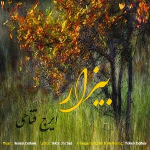 دانلود آهنگ بیزار از ایرج فتاحی | ملودیکده دانلود آهنگ بیزار از {singer-fa}