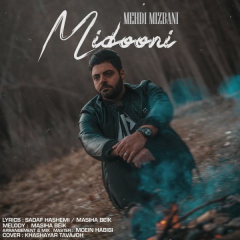 دانلود آهنگ میدونی از {singer-fa}